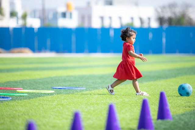 球的一部分 球的一部分