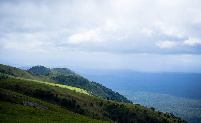散依赖单一 散依赖单一