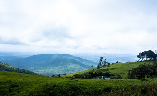 基礎設計 基礎設計