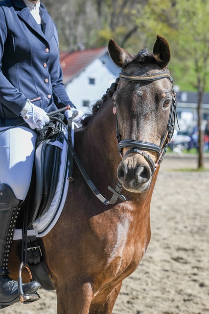 美國隊的衛 美國隊的衛