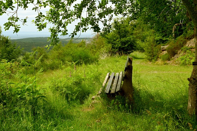 步的距離 步的距離