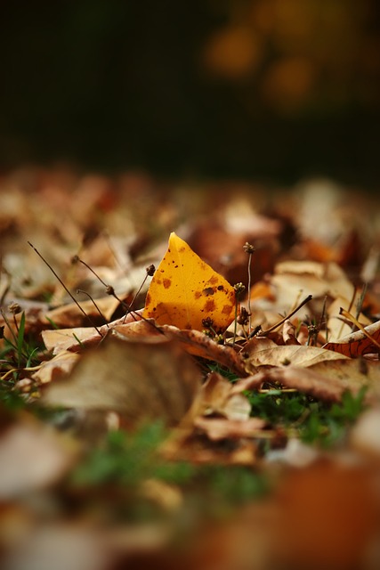 不可阻擋 不可阻擋